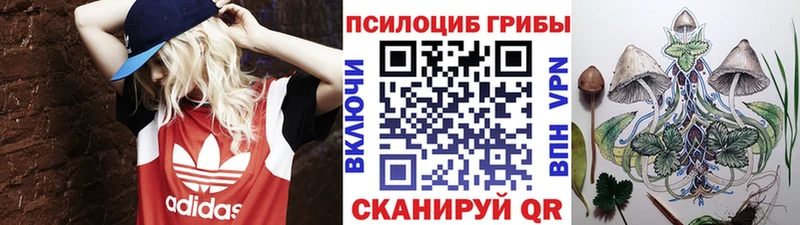 Псилоцибиновые грибы Cubensis  Светлогорск 