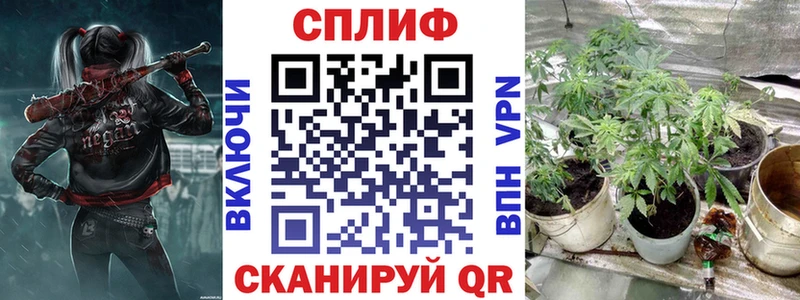 где купить Светлогорск Канабис MAZAR